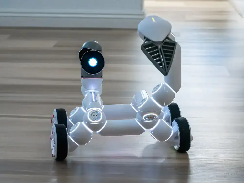 A child testing a small programmable robot